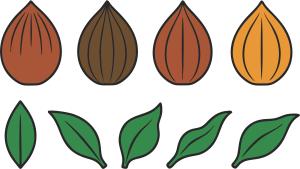 _coconuts_and_leaves1_1785860869