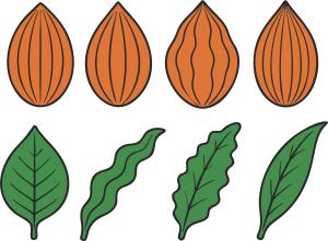 _coconuts_and_leaves3_1785860869