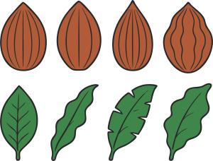 _coconuts_and_leaves4_1785860869