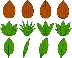 _coconuts_and_leaves5_1785860869