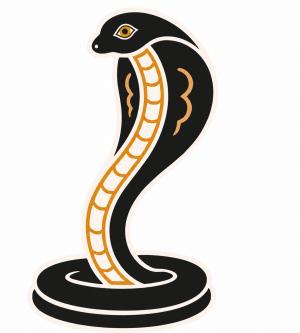 _nag_panchami_woman_milk_1786466855
